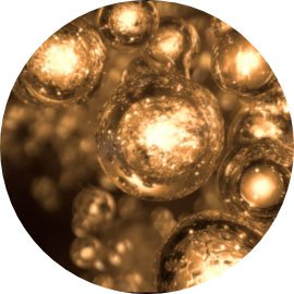 Textur antioxydantischer Erholungskomplex